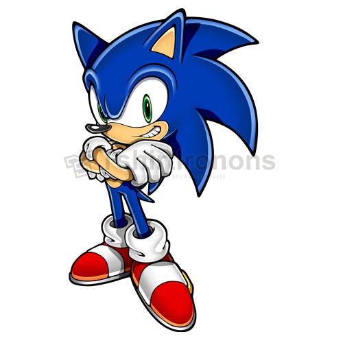 Sonic the Hedgehog T-shirts Iron On Transfers N7994 - Click Image to Close